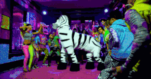 GIF party